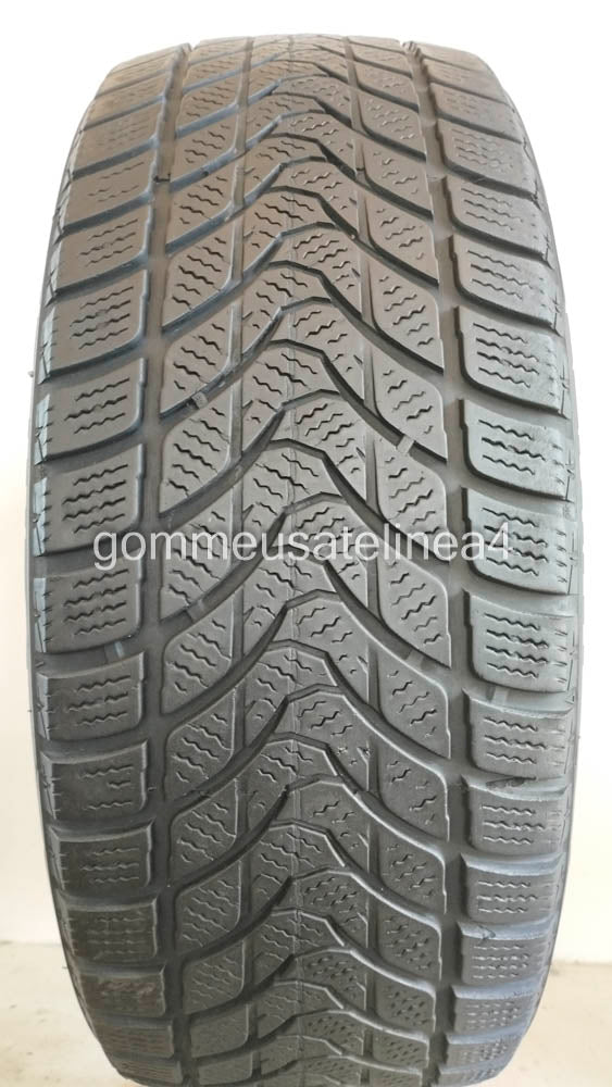 Delinte 205/55 r16 winter wd1 art. X869