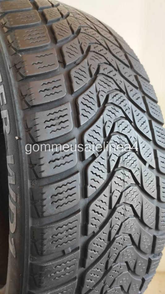 Delinte 205/55 r16 winter wd1 art. X869