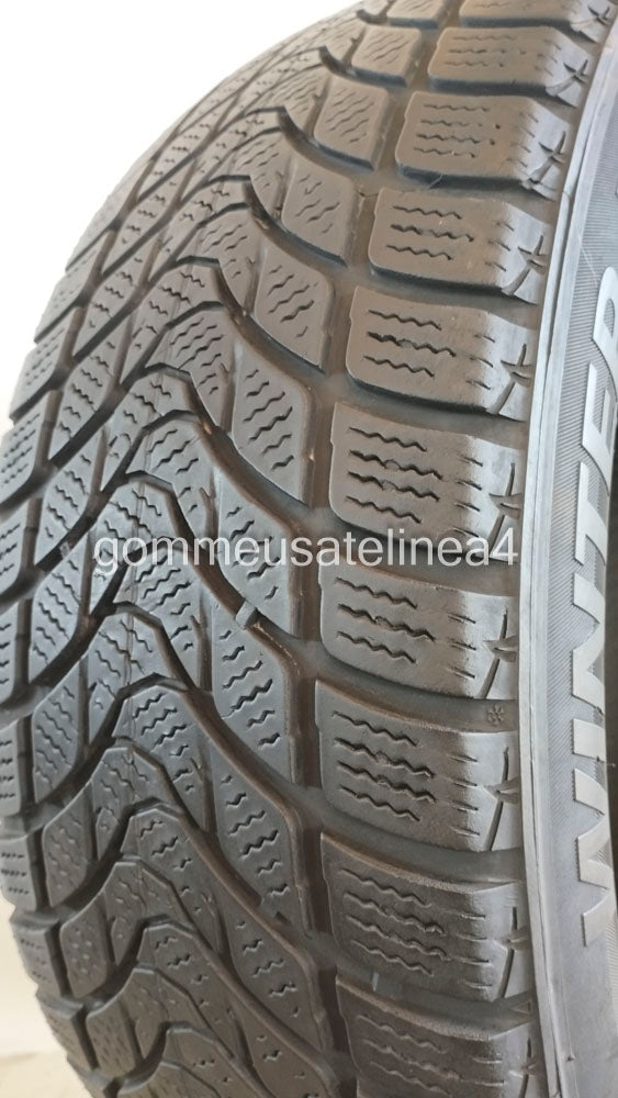 Delinte 205/55 r16 winter wd1 art. X869