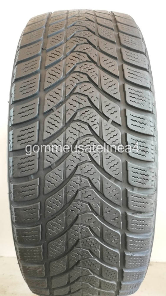 Delinte 205/55 r16 winter wd1 art. X869